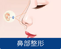 全耳骨综合隆鼻